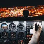 Using Objective Data To Tackle Issues Within Software Development Teams, Part 2