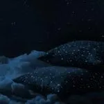 AI Sleep Management Solution Improves Cognitive Performance by 22% for High-Stress Performers